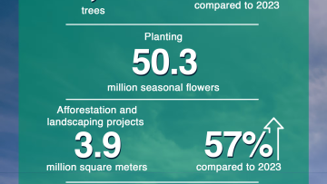 Dubai's Green Initiative: 216,500 Trees Planted in 2024