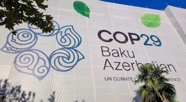 COP29: Global Green Economy Participation