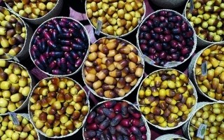 Приглашение к участию: Конкурс традиционных моделей на Фестивале фиников в Лива