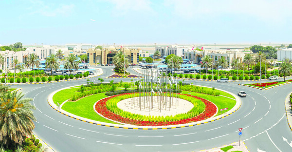 Free Zones in Sharjah Achieve Major Milestones in 2024
