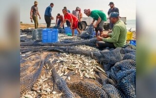 Устойчивое наследие рыбалки в ОАЭ