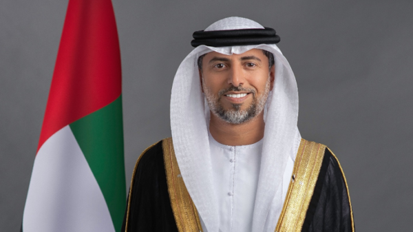 阿联酋部长关于发展战略的声明