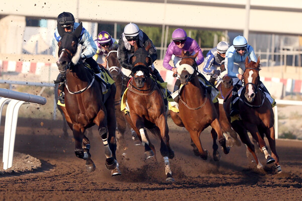 Street Mode Wins Shadwell Stakes