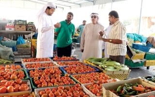 Департамент Рас-аль-Хаймы регулирует оборот основных товаров
