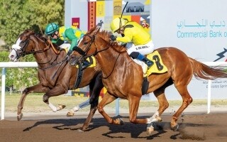 Скачки «День союза» на ипподроме Джебель Али