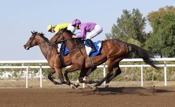 Abu Dhabi Kicks Off New Horse Racing Season