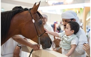 First International Hunting and Equestrian Exhibition Launched in Al Ain