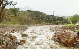 Эмирские зимние традиции и прогнозы погоды