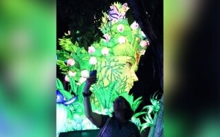 Сад Света Дубая сверкает на новом световом фестивале