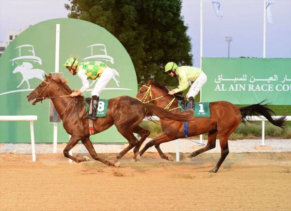 Al Ain to Host Horse Races with 490,000 Dirham Prize