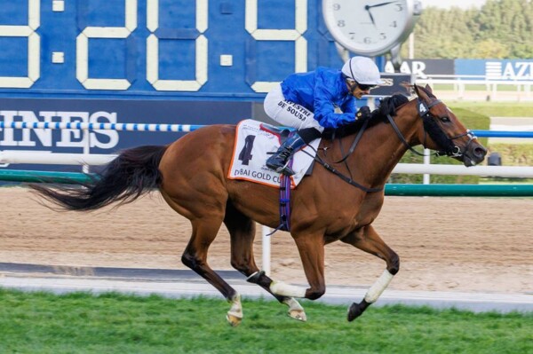 Emirati Horse 'Dubai Future' Competes in Dubai Gold Cup