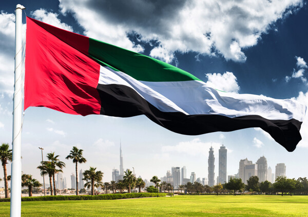 Dubai Court Affirms Equality in Asset Distribution