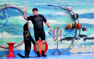 Удивительные шоу дельфинов в Дубайском дельфинарии