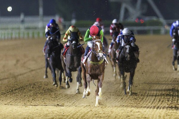 Второй этап карнавала скачек Дубай пройдёт сегодня на ипподроме Мейдан