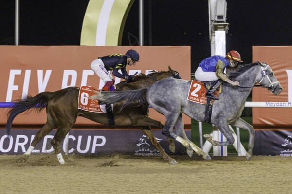 Emirates Super Saturday Races in Dubai
