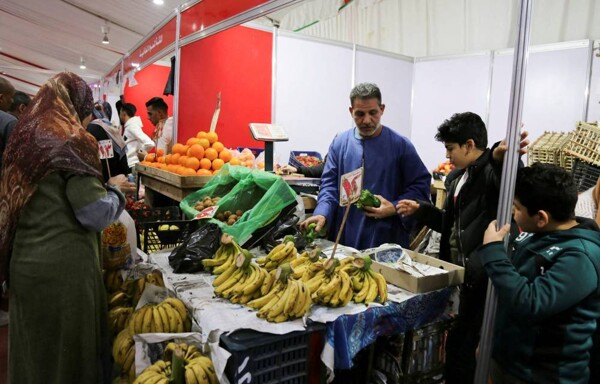 Доклад о глобальных ценах на продовольствие: кукуруза упала на 21%, пшеница поднялась на 7%, рис вырос на 20%