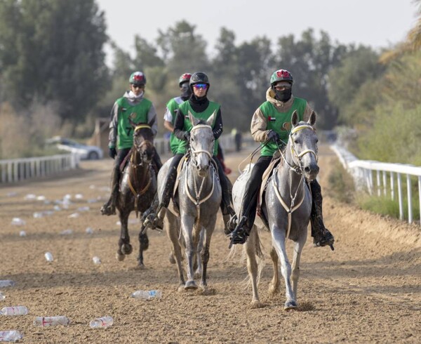 迪拜阿尔亚玛姆杯赛开赛