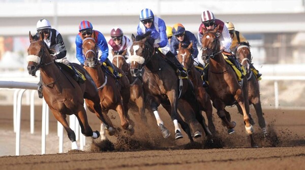 Jebel Ali Racecourse Kicks Off 10th Race Under Sheikh Ahmed's Patronage
