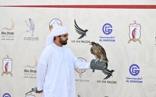 阿联酋总统杯猎鹰赛参与者强调其文化和体育意义