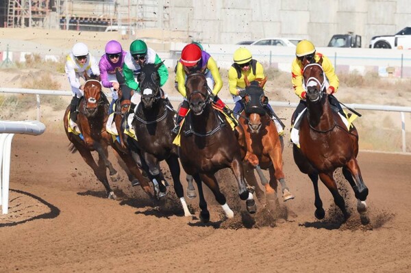 Hipódromo de Jebel Ali albergará el octavo meeting de carreras bajo el patrocinio del Jeque Ahmed