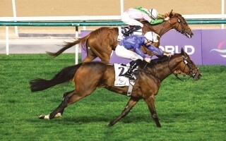 Дубайские скачки: победители и призеры гала-вечера