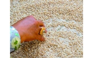 Традиционная кухня Эмиратов 'аль-харис' присоединилась к списку ЮНЕСКО