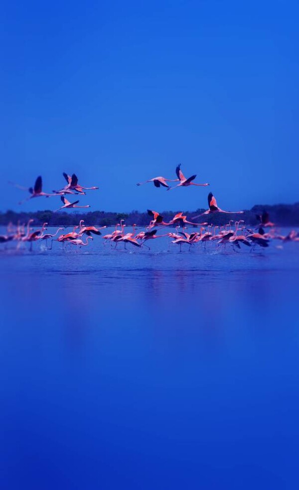 Ajman Boosts Tourism with Innovative Projects