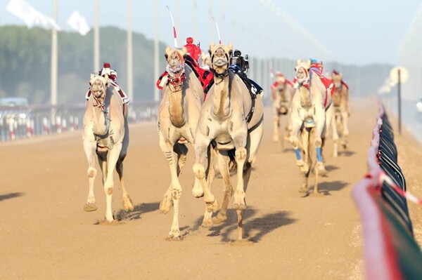 希塔米·阿尔-穆姆姆姆 2026 节新阶段开始