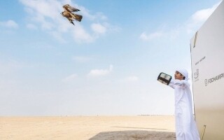 Falconry Tournament Begins