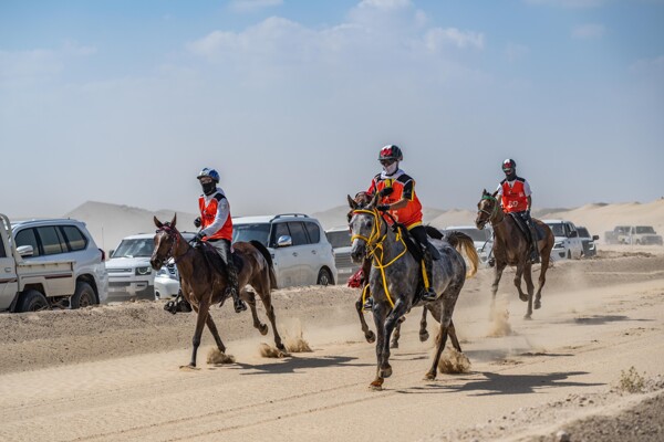 Sultan bin Zayed Al Nahyan International Ability Festival Starts New