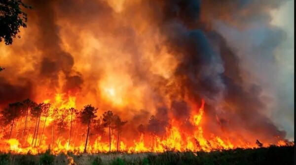 Wildfire Consumes Over 12,500 Acres