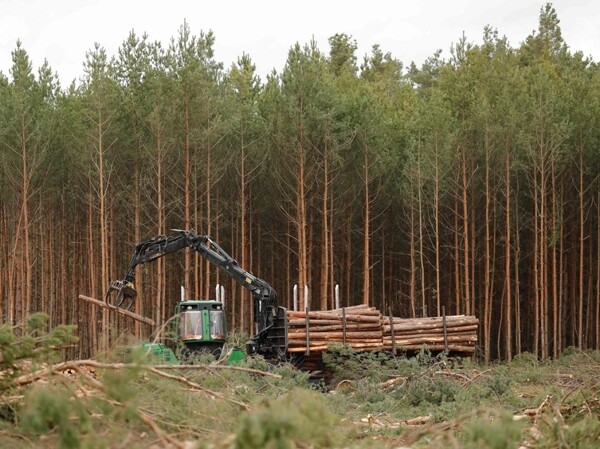 EU Considers Lowering 2040 Climate Target Due to Ineffective Forests