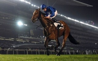 Дубайский клуб скачек объявил о начале продажи билетов на Кубок Дубая