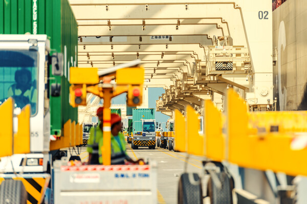 DP World видит рост несмотря на сложности