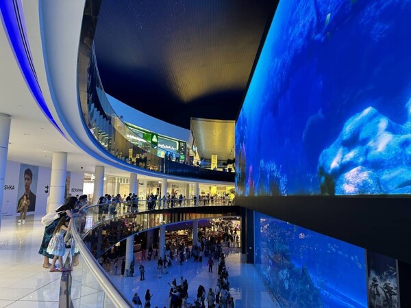 海湾奢侈品市场新报告