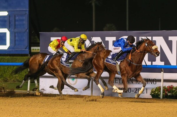 Начался новый сезон скачек в Дубае