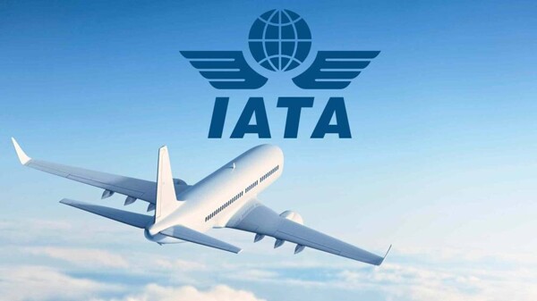 Запуск платформы для устойчивого авиатоплива | Ours Abroad News