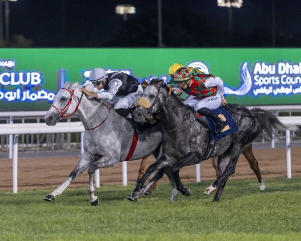 Abu Dhabi to Host 33rd UAE President's Cup for Arabian Horses