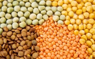 Важность магния для здоровья организма