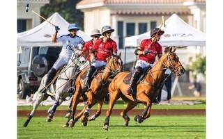 Финал чемпионата по поло в честь Дня союза в ОАЭ