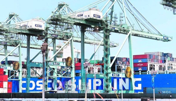 COSCO Resumes Container Shipments to UAE and Gulf Region