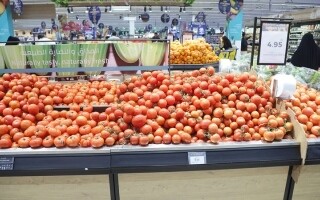 Dubai Increases Fruit and Vegetable Land Shipments to Stabilize Prices