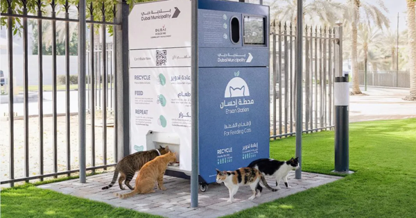 Dubai Launches 'Ehsan Stations' to Feed Stray Animals Using AI