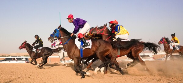 The Arabian Horse Racing Championship in Zayed City