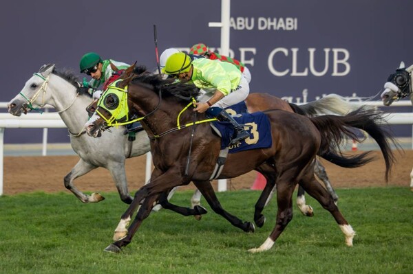 15 Carreras de Caballos Árabes en Abu Dhabi