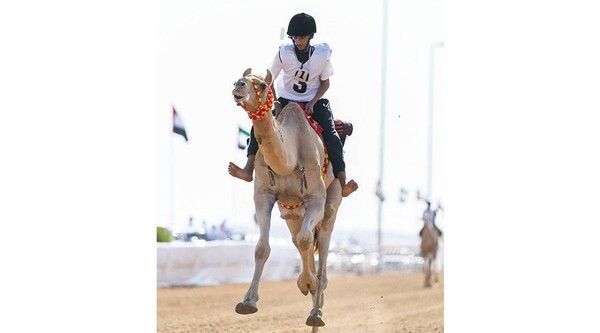 Союз скачек на верблюдах запускает онлайн-регистрацию для школьников