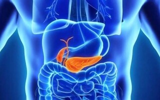 Researchers Discover Compound That Protects Against Type 2 Diabetes