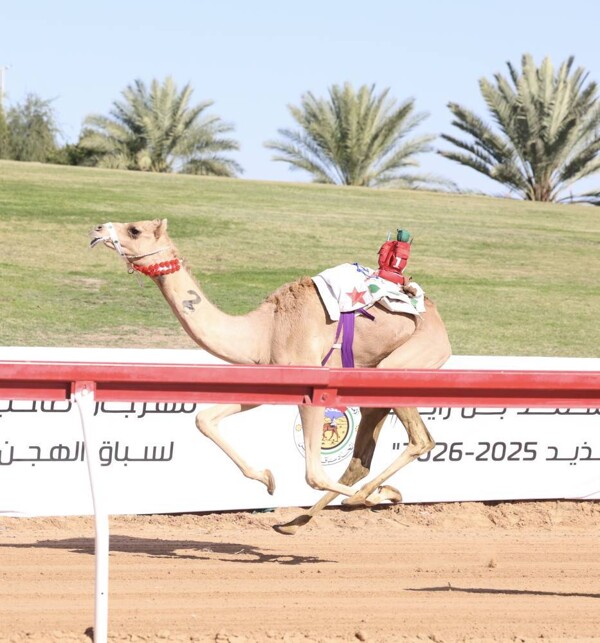 15th Sheikh Mohammed bin Zayed Race Festival kicks off