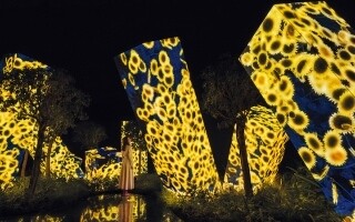 New Interactive Art Space Team Lab Phenomena Opens in Abu Dhabi