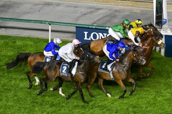 法国赛马“卡兰达甘”赢得迪拜希玛经典赛